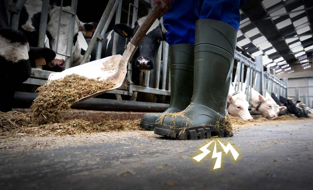 Plantar fasciitis wellies