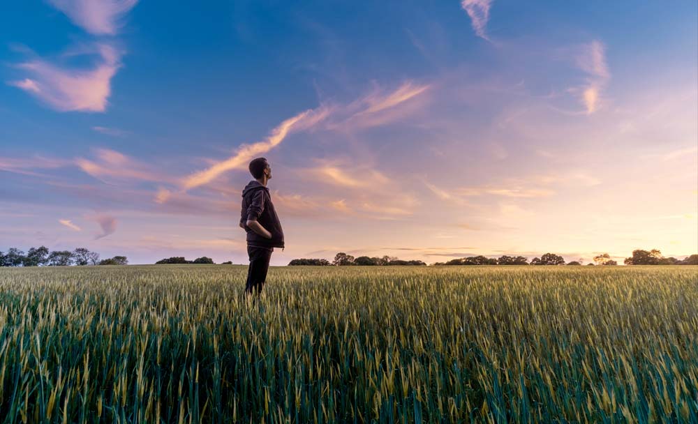 Farmer in field sunset