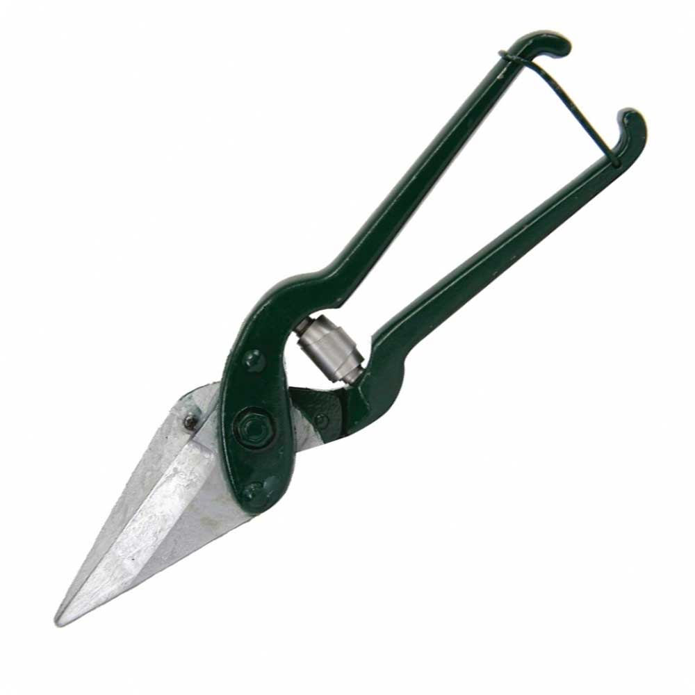 Serrated Footrot Shear