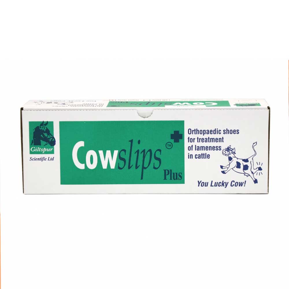 Cowslips Plus Hoof Shoes Mixed Box