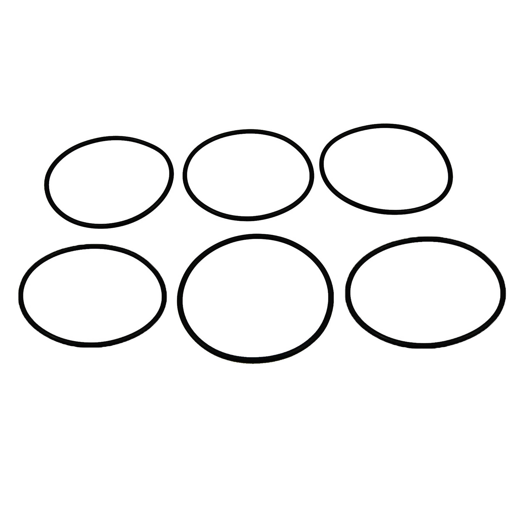 Ambic Vision 16 Mastitis Detector Spare O Rings