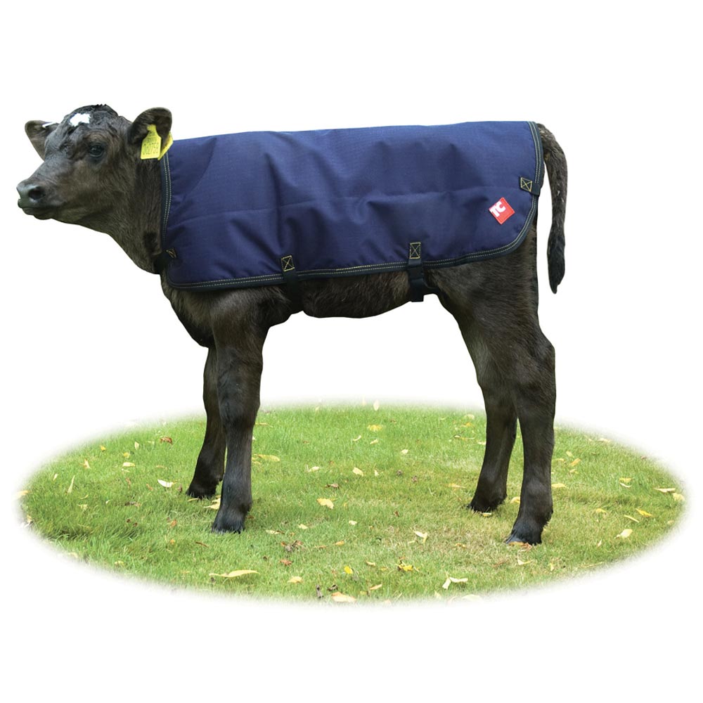 Tough Cover Calf Jacket Standard Blue 80cm