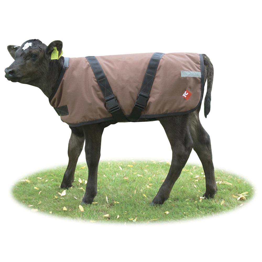 Tough Cover Calf Jacket Premium Brown 75cm