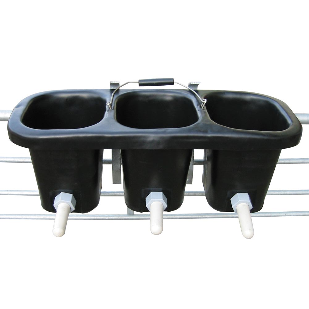 Triple Bucket Calf Feeder