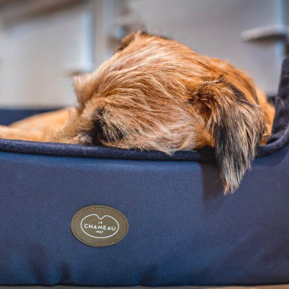 Le Chameau Luxury Dog Bed Dark Blue 2