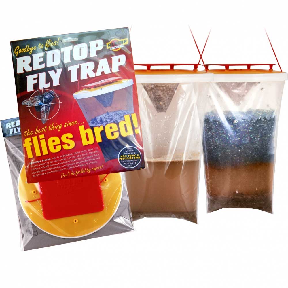 Redtop Fly Trap