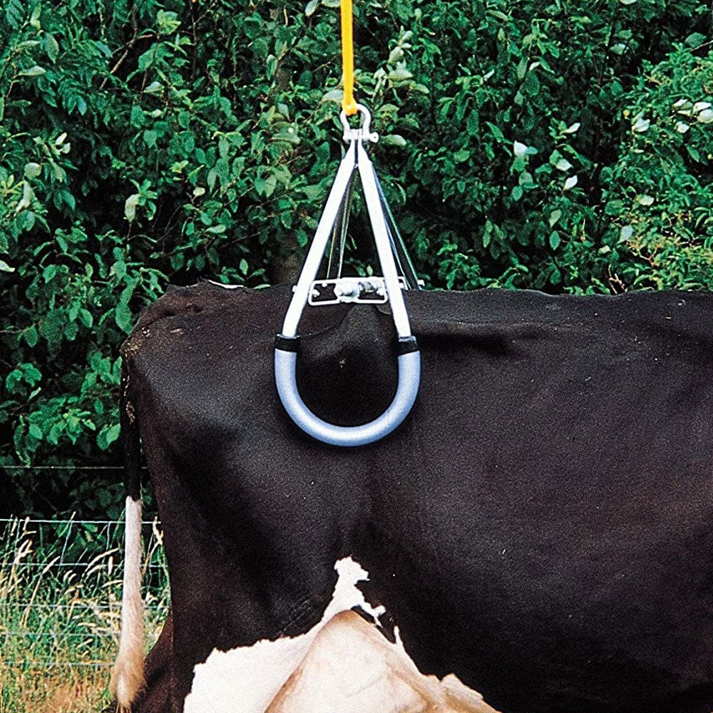 Vink Hip Cattle Hoist on a Cow