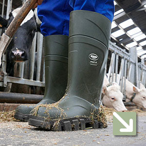 Abbeydale Direct Wellies Collection Image