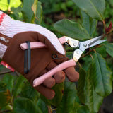 Burgon & Ball Collectors Blush Fruit and Flower Snips