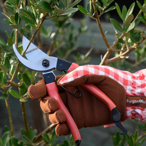 Burgon & Ball Collectors Red Bypass Secateurs
