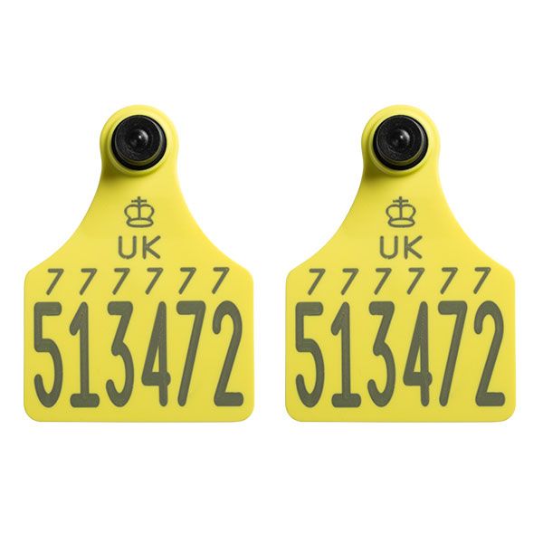Allflex Replacement Primary Cattle Ear Tags Pair